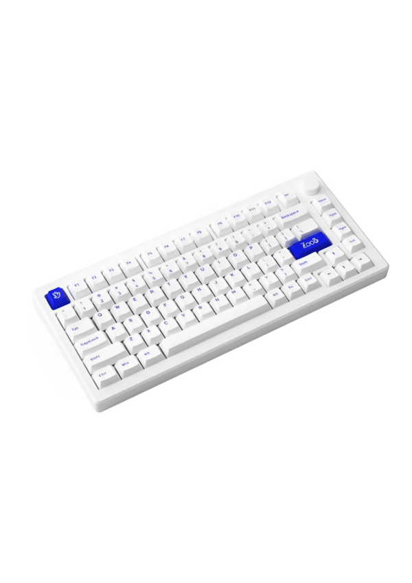 Akko Mod 007 BoW Mechanical Keyboard - Image 4