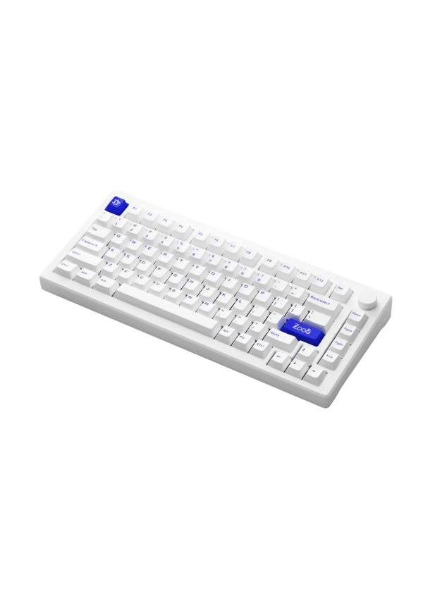 Akko Mod 007 BoW Mechanical Keyboard